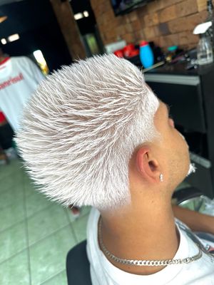 Platinado + Corte